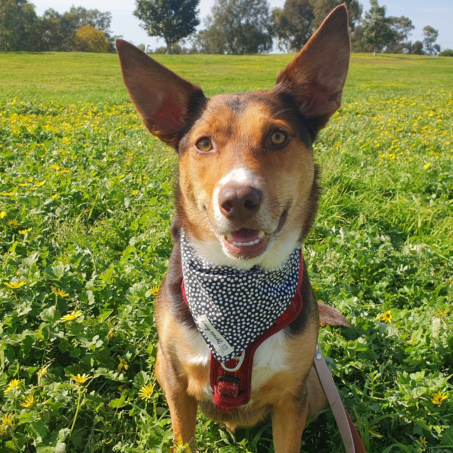Punkte - Bandana für Haustiere