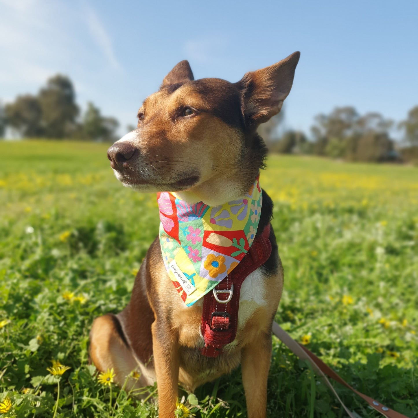 Neon Blumen - Haustier Krawatte Bandana
