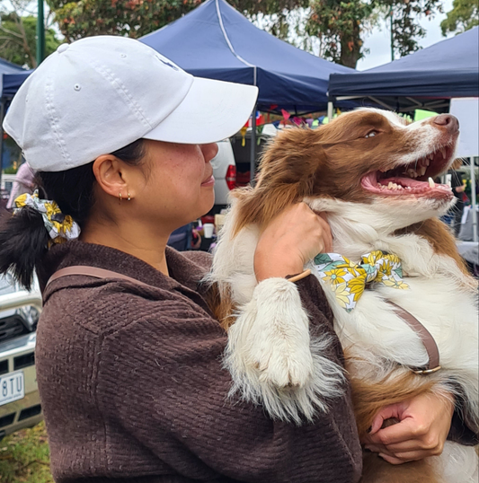 Sunflowers and Spots - Pet Bow Tie