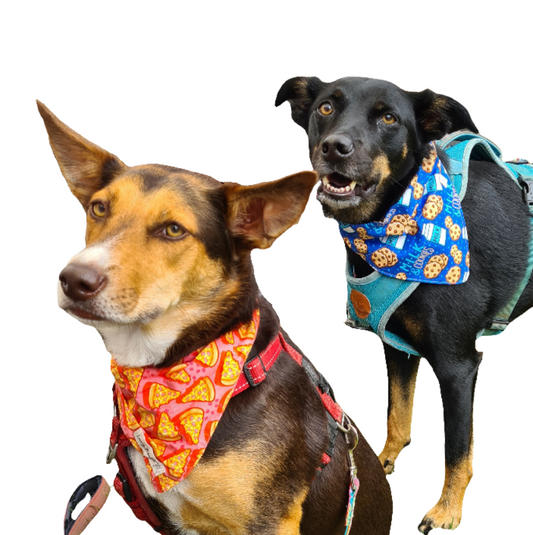 Pizza - Haustier-Bandana