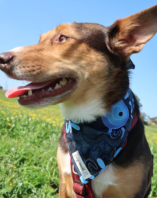 Circle Time - Bandana für Haustiere