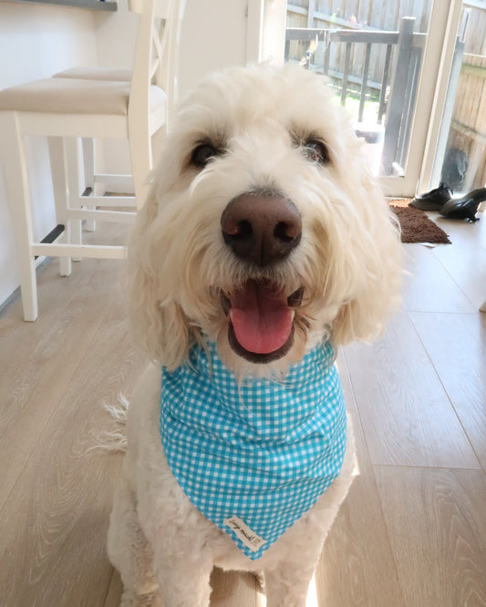 Hellblaues Mini-Gingham