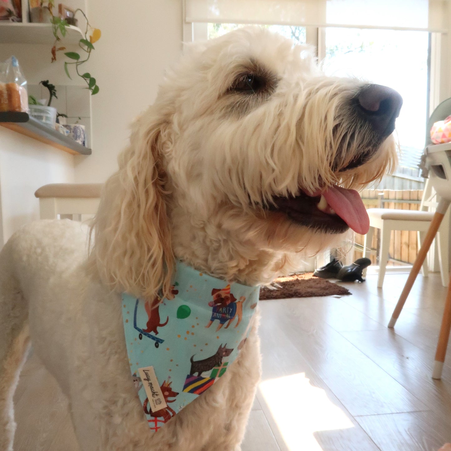 (Kopie) - Haustierhalsband Bandana