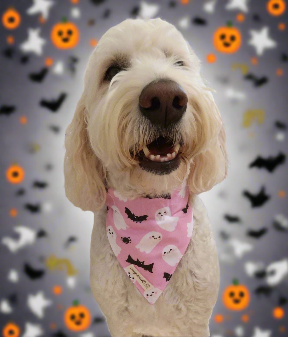 Friendly Ghosts - Pet Collar Bandana
