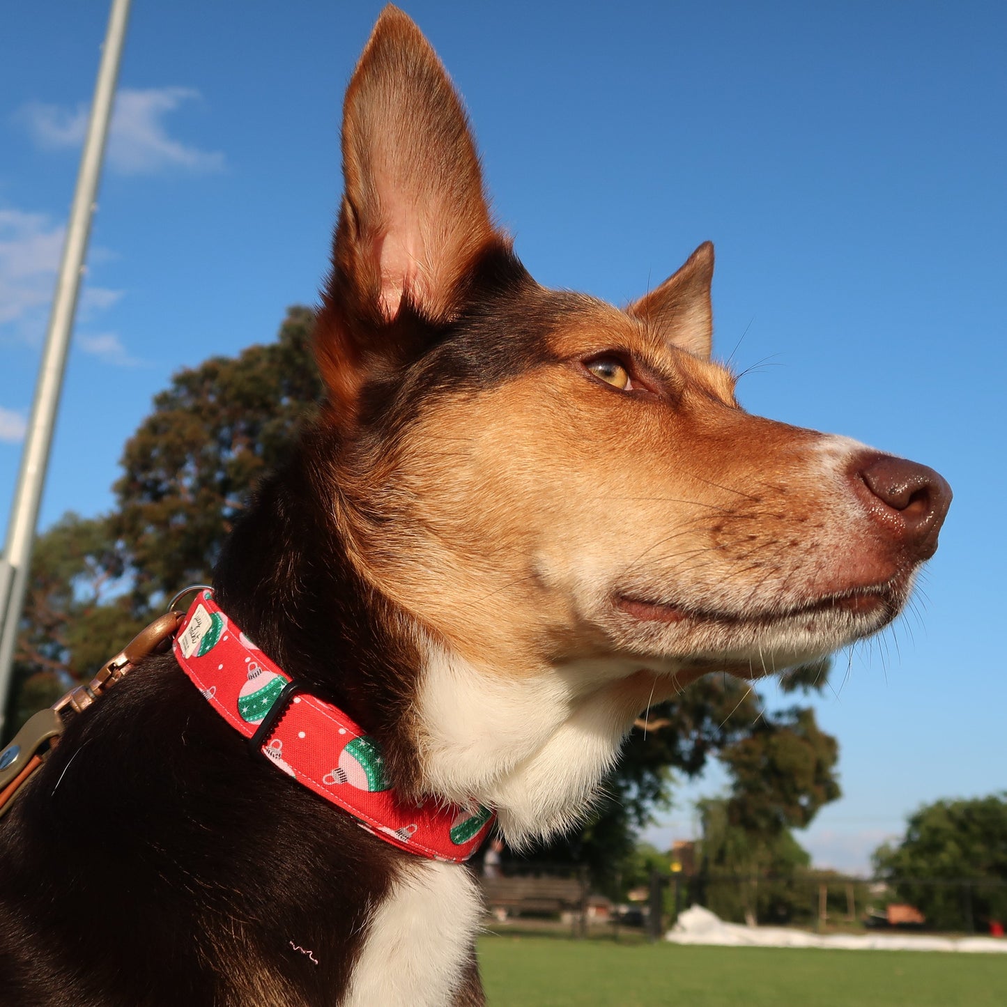 Rote Weihnachtskugeln - Verstellbares Hundehalsband