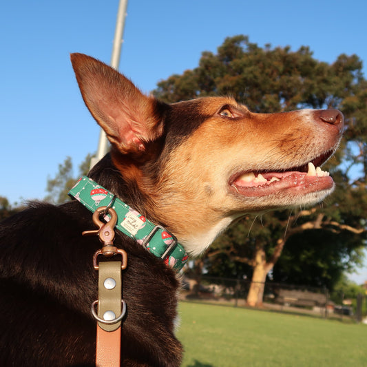 Christmas Baubles Green - Adjustable Dog Collar