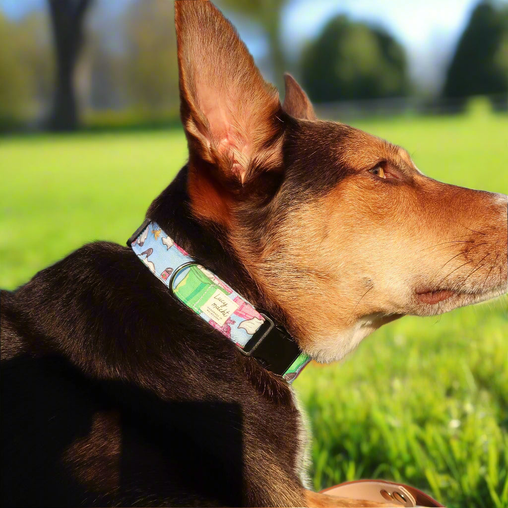 Bin Chicken - Verstellbares Hundehalsband