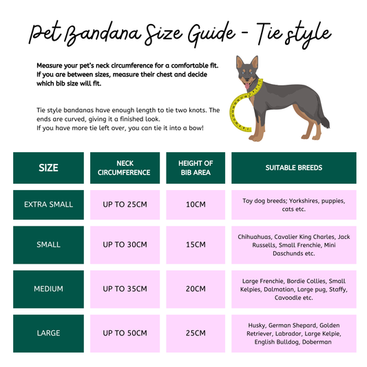 Classic Red Gingham - Pet Tie Bandana