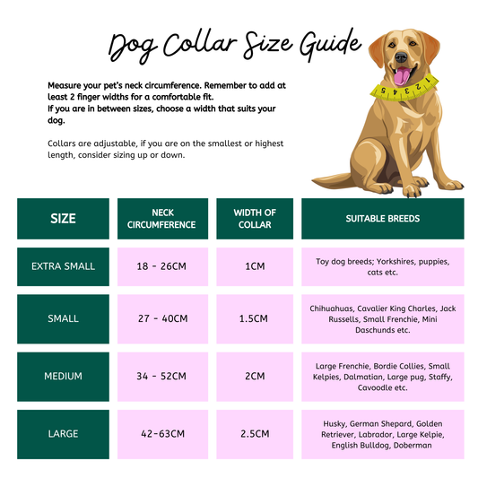 Wassermelone - Verstellbares Hundehalsband