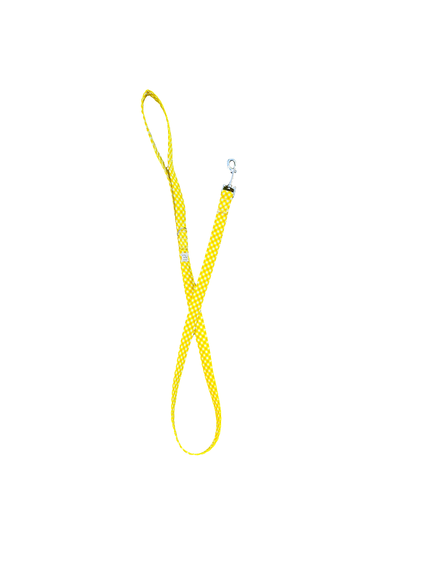 Sunshine Mini Gingham - Dog Lead