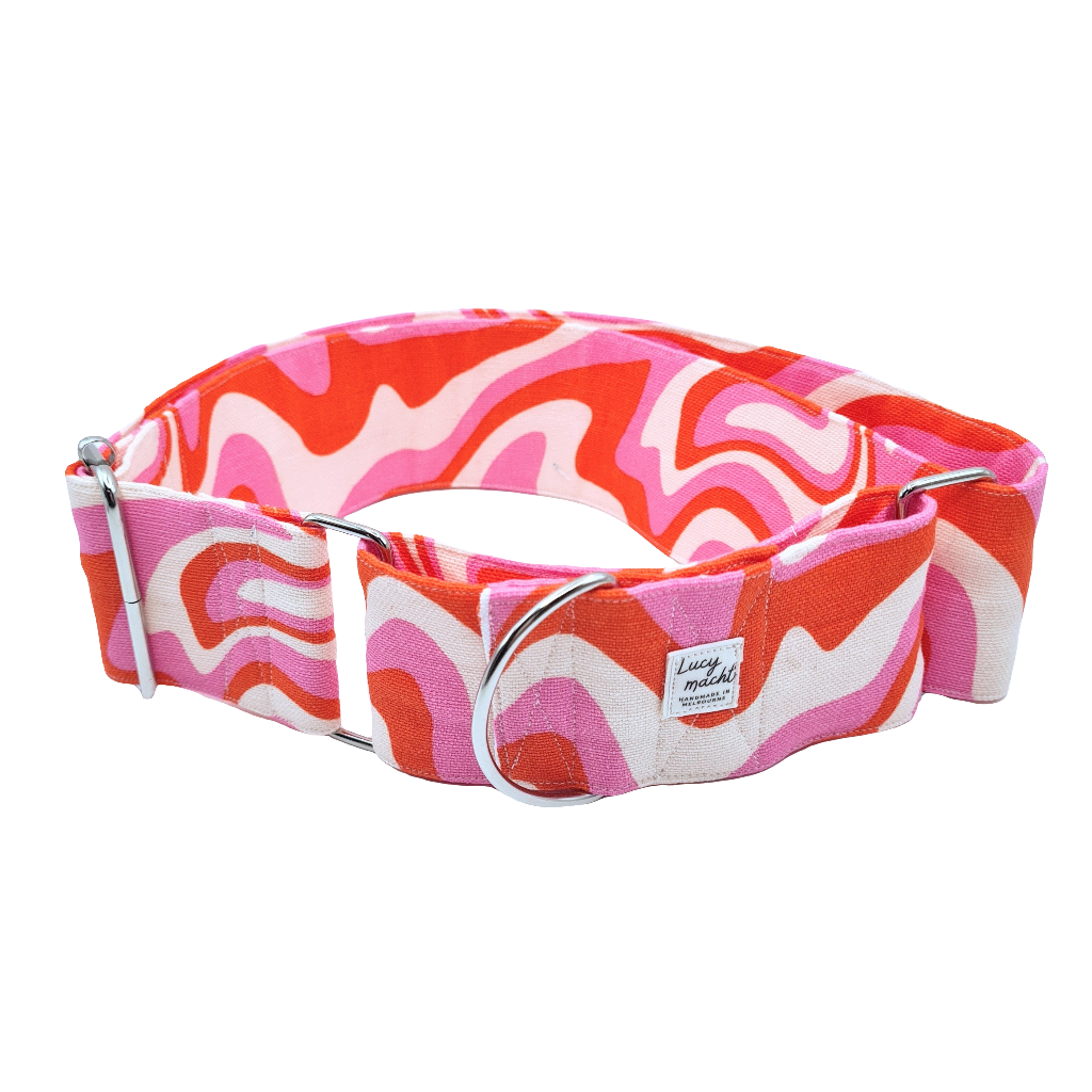 Wassermelone - Verstellbares Hundehalsband