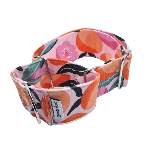 Peaches - Martingale Dog Collar