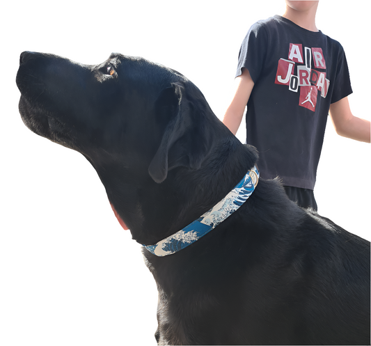 Japanese Wave - Adjustable Dog Collar