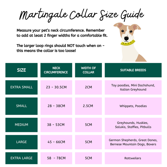 Emu Dreaming - Martingale Dog Collar