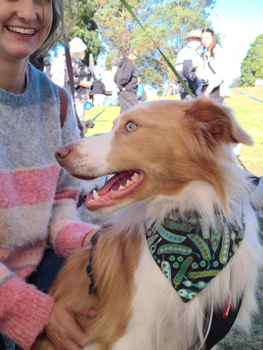 Peas in a Pod - Pet Tie Bandana