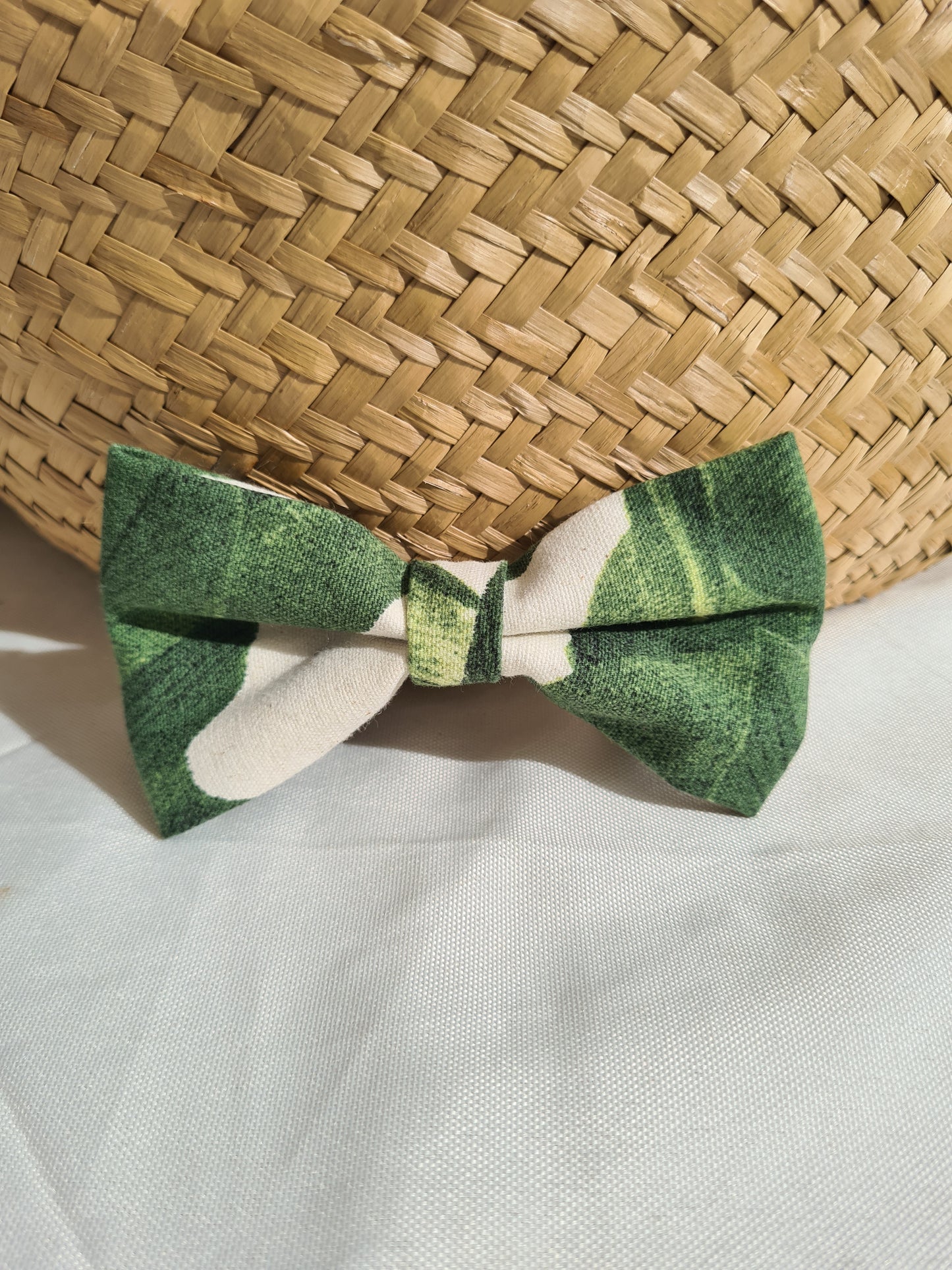 Philodendron - Pet Bow Tie