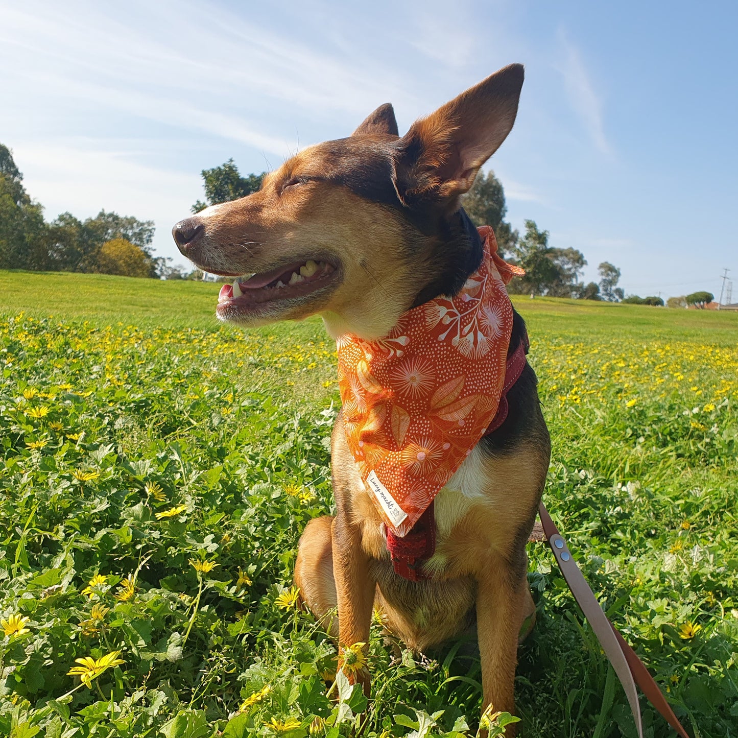 Gumnut Blossoms - Pet Tie Bandana