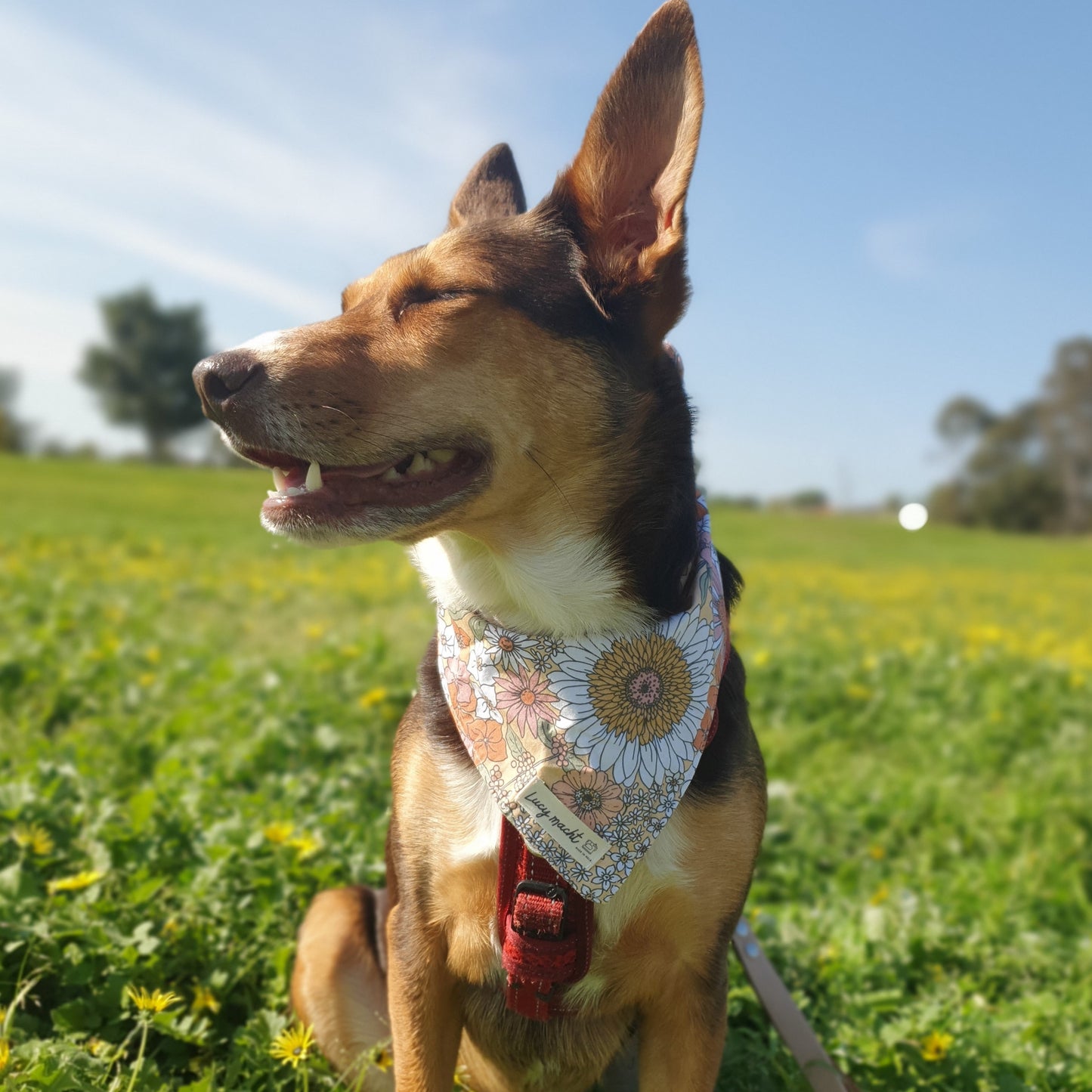 Sadie Floral - Pet Tie Bandana