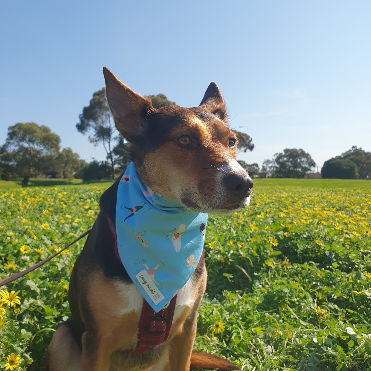 Beach Day - Pet Tie Bandana