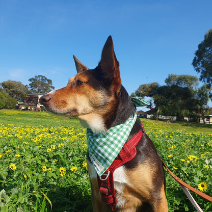 Classic Green Gingham - Pet Tie Bandana