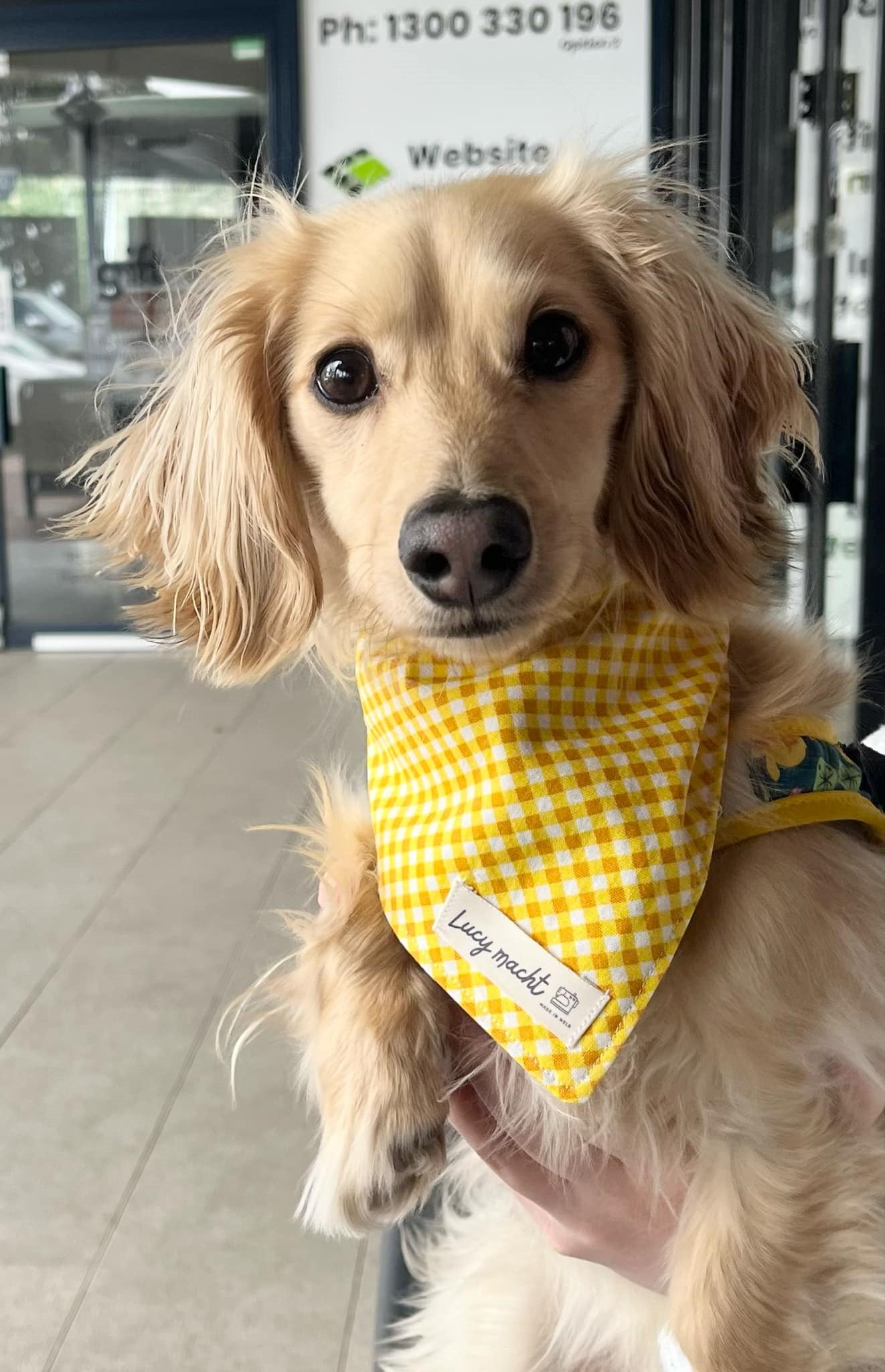 Sunshine Mini Gingham - Pet Tie Bandana