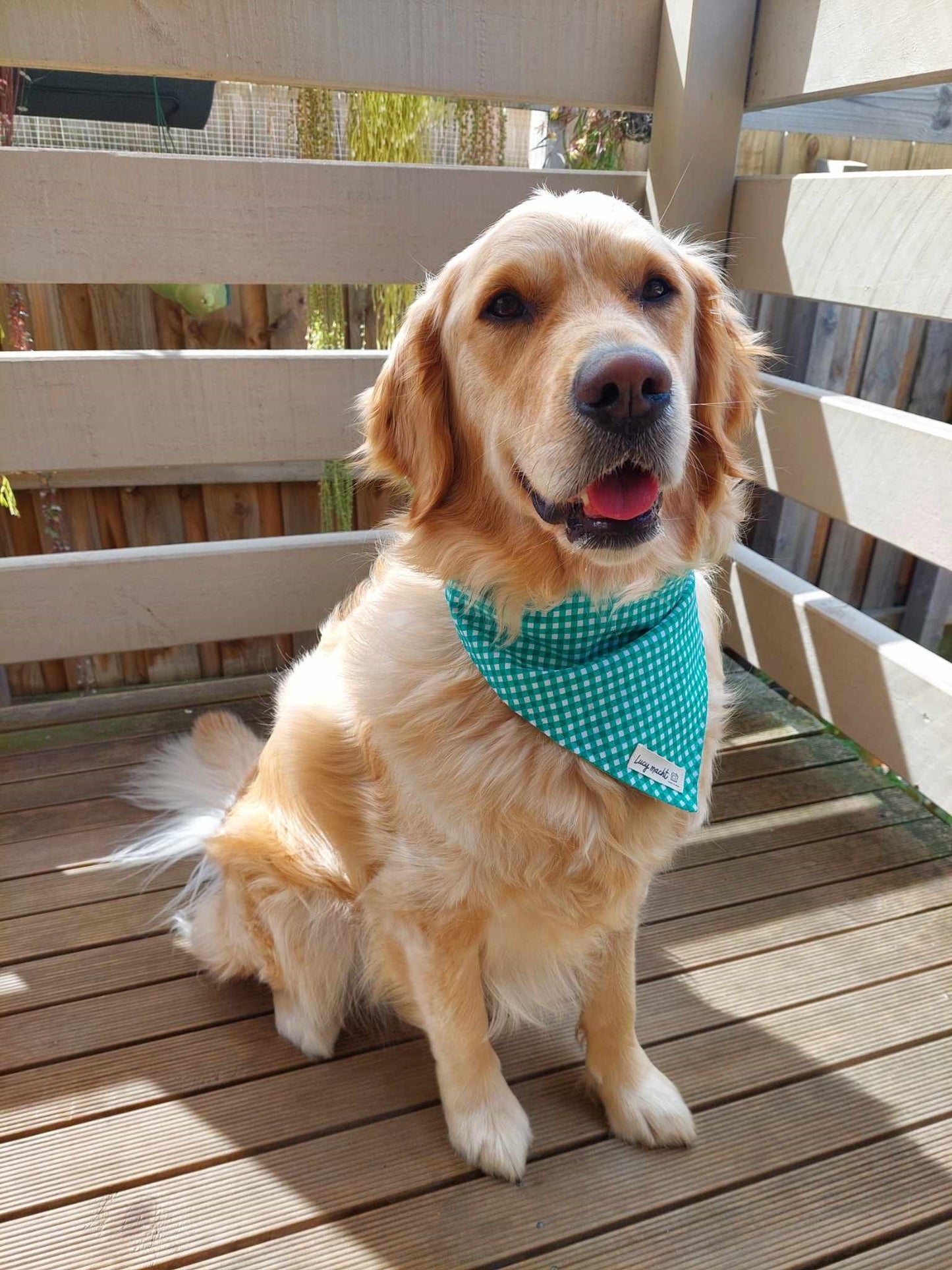 Mint Mini Gingham - Pet Tie Bandana