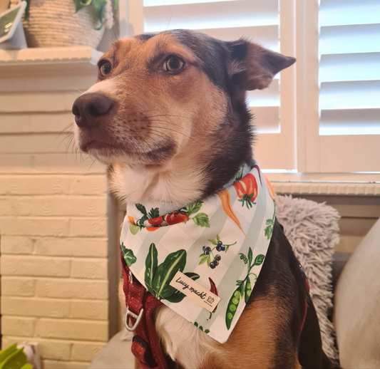 Veggie Picnic - Pet Tie Bandana