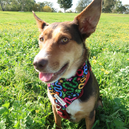 Friendly Garden Snakes - Pet Tie Bandana