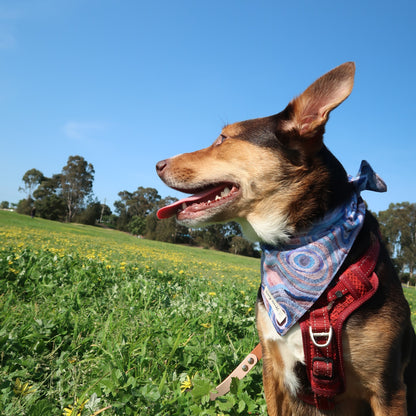 Water Dreaming Rain - Pet Tie Bandana