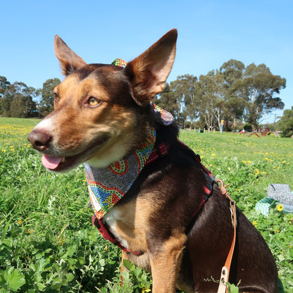 Seed Dreaming Pond - Pet Tie Bandana