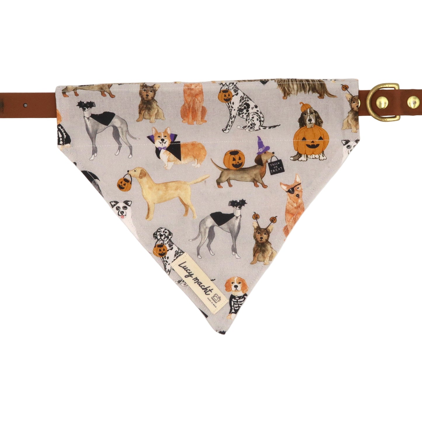 Pups Trick or Treat - Pet Collar Bandana