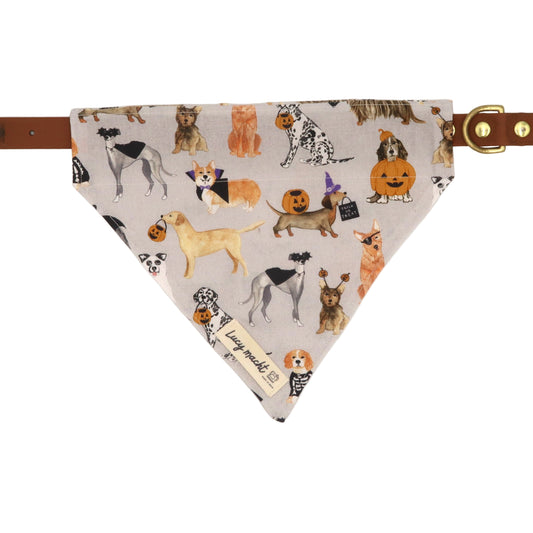 Pups Trick or Treat - Pet Collar Bandana