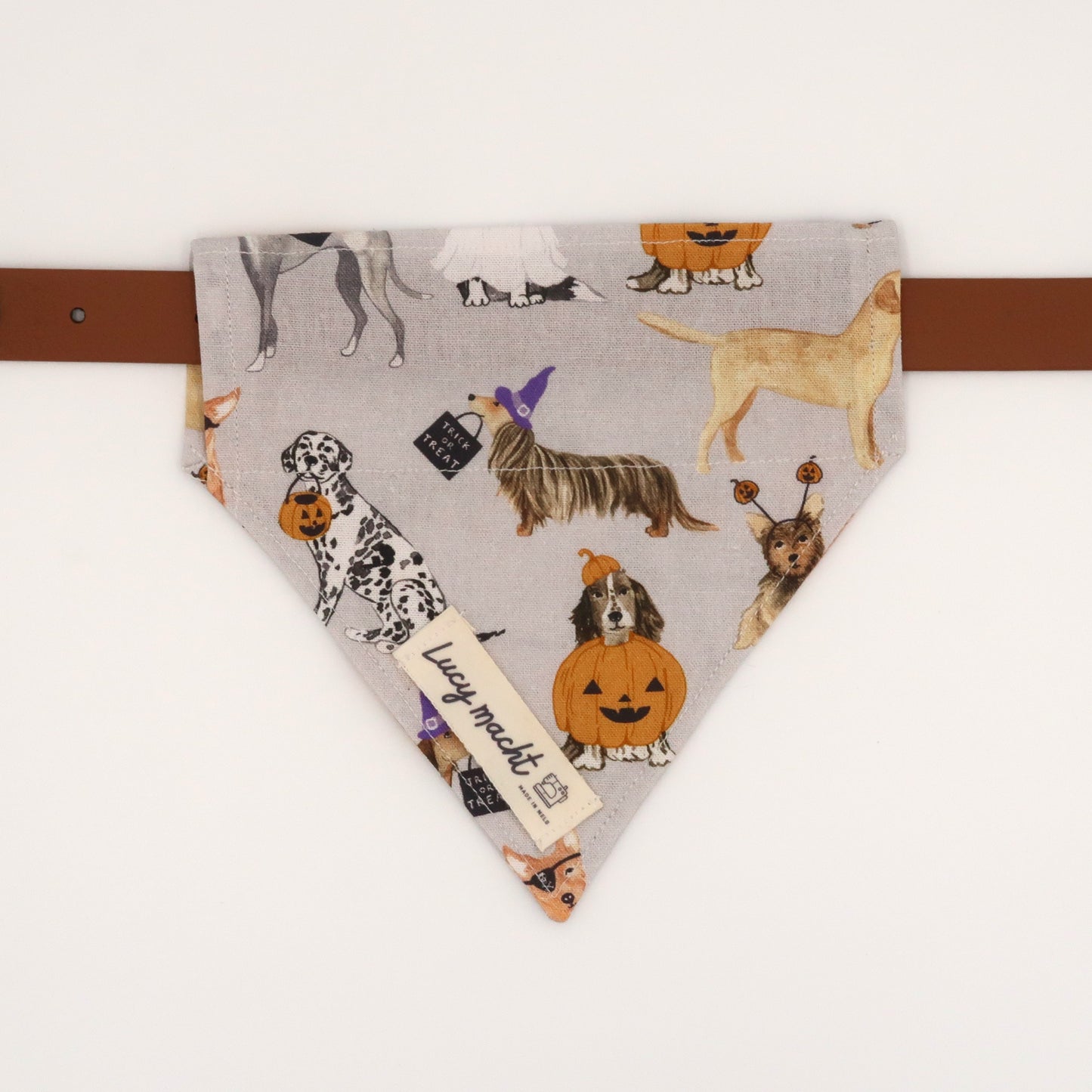 Pups Trick or Treat - Pet Collar Bandana