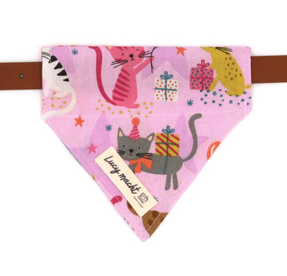 Cats and Dogs Party - Pet Collar Bandana