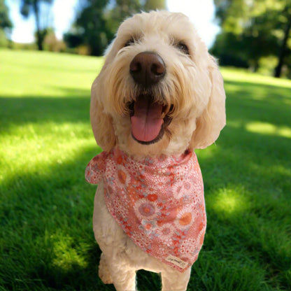 Amelia - Pet Tie Bandana