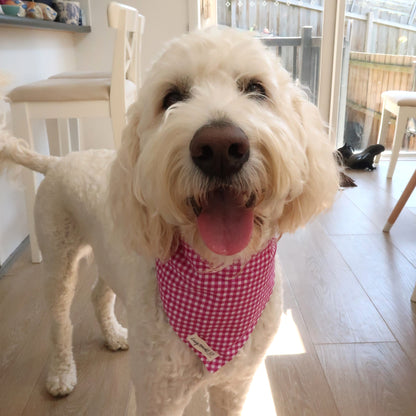 Mulberry Mini Gingham - Pet Tie Bandana