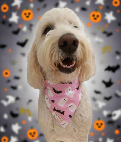 Friendly Ghosts - Pet Collar Bandana