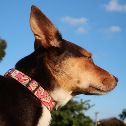 Pink Fairy Bread - Adjustable Dog Collar