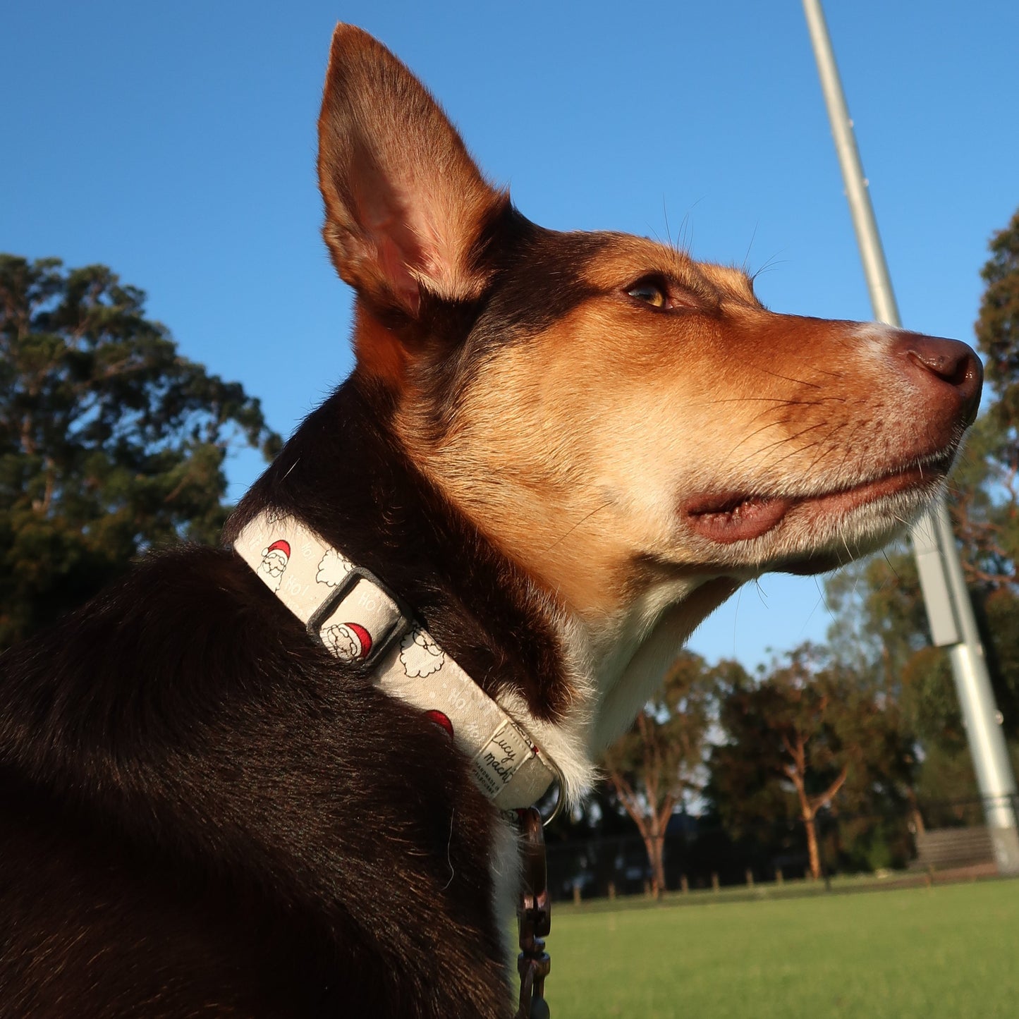 Christmas Santa Heads - Adjustable Dog Collar
