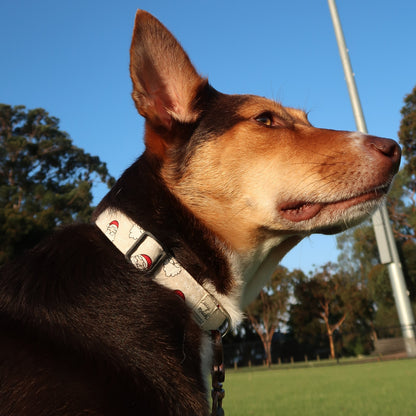 Christmas Santa Heads - Adjustable Dog Collar