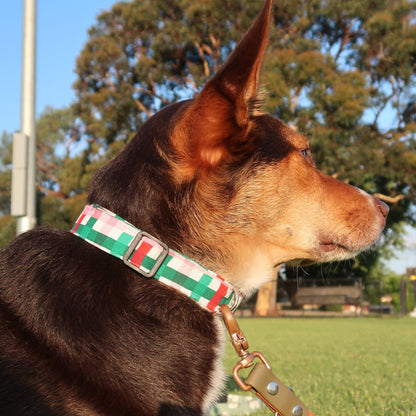 Basket Weave - Adjustable Dog Collar