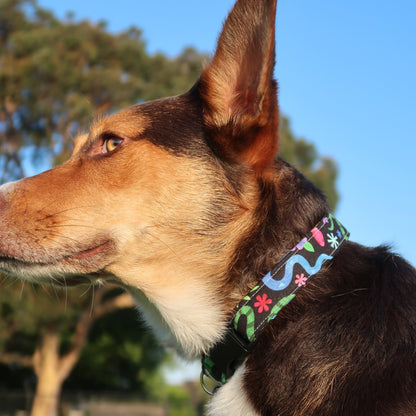 Friendly Garden Snakes - Adjustable Dog Collar