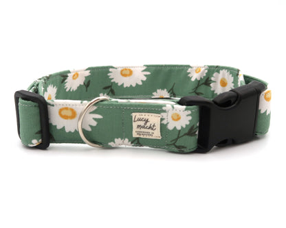 Field Daisies - Adjustable Dog Collar