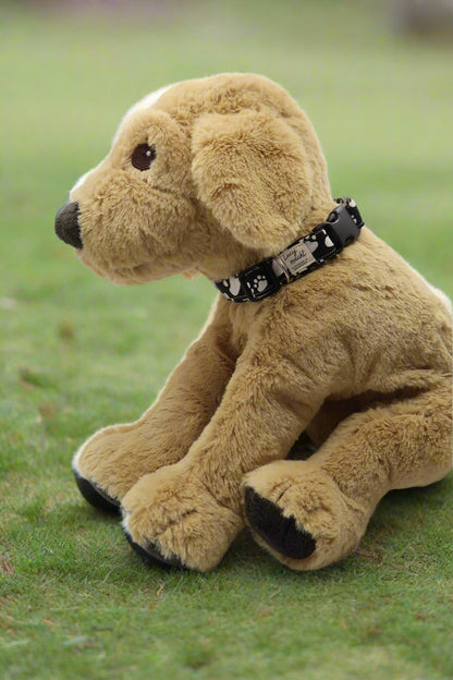 Paws - Adjustable Dog Collar