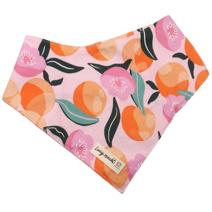 Peaches  - Pet Tie Bandana