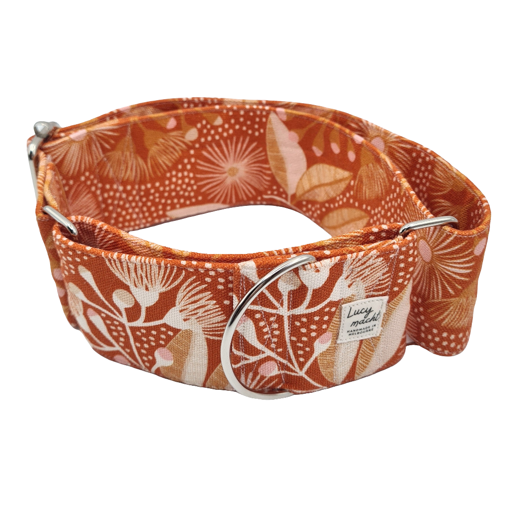 Gumnut Blossom - Martingale Dog Collar