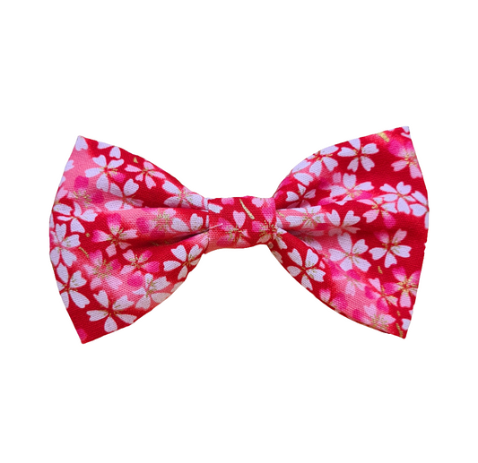 Cherry Blossom - Pet Bow Tie