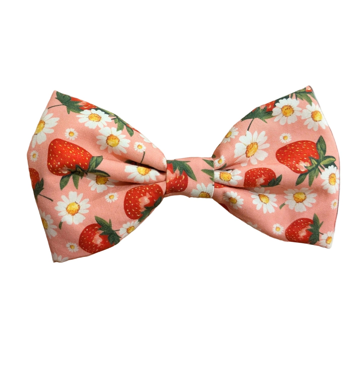 Strawberries - Pet Bow Tie