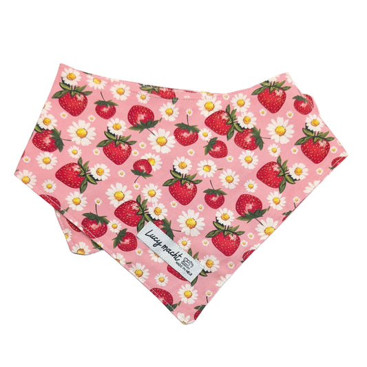 Strawberries - Pet Tie Bandana