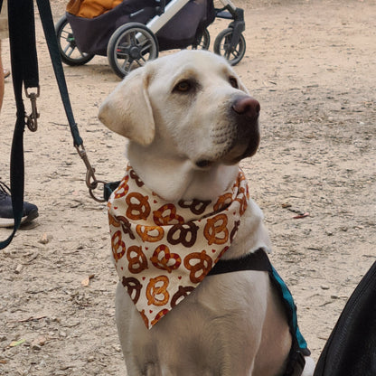 Pretzels - Pet Tie Bandana